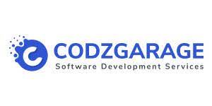 Codzgarag Infotech